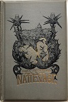 Nattevagt 1894
